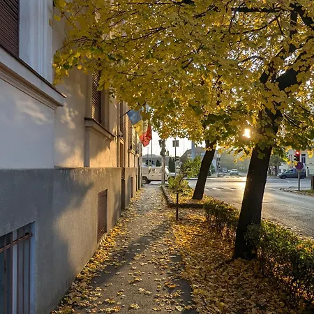 M Residance Apartment Timisoara